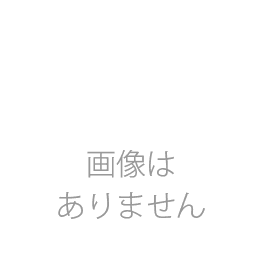 クビンスホールスロージューサー JSG-721
